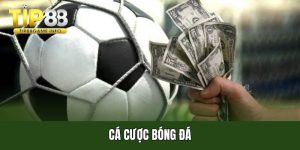 Cá cược bóng đá