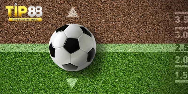 Đặt cược kèo tài xỉu